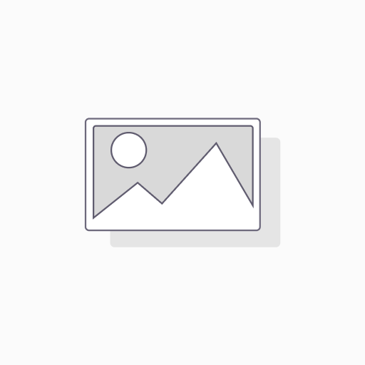 Absolut Vodka 40% Vol. 1 L